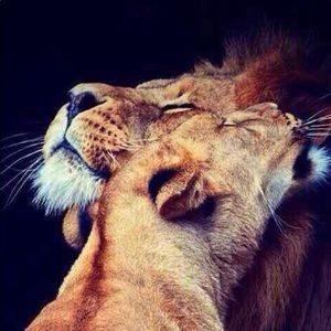 Meet your Posher, Sai